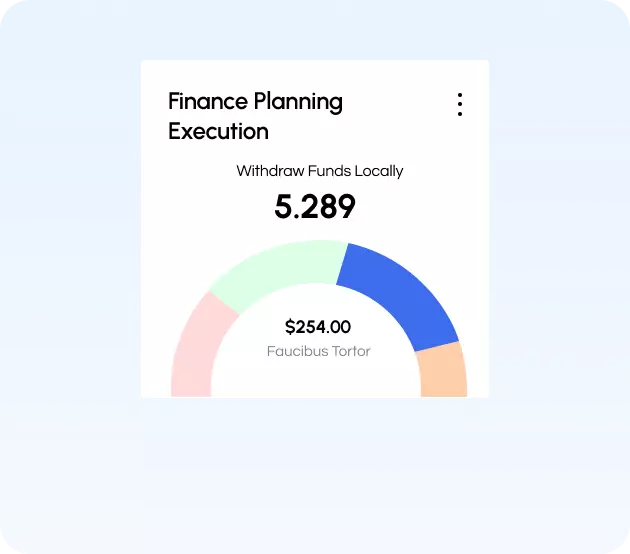 Finance Planning Execution